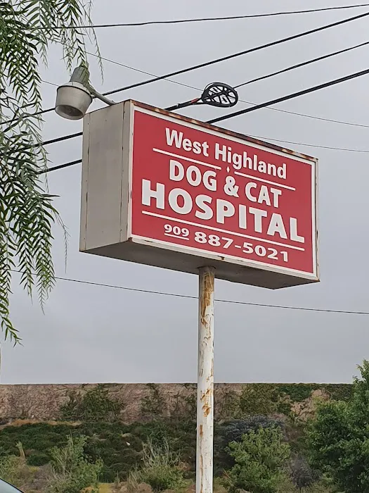 West Highland Dog & Cat Hospital Picture 6