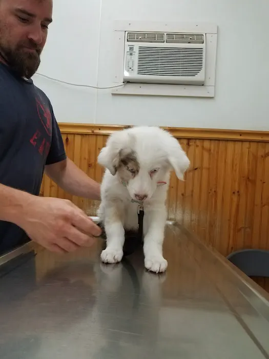 West Highland Dog & Cat Hospital Picture 9