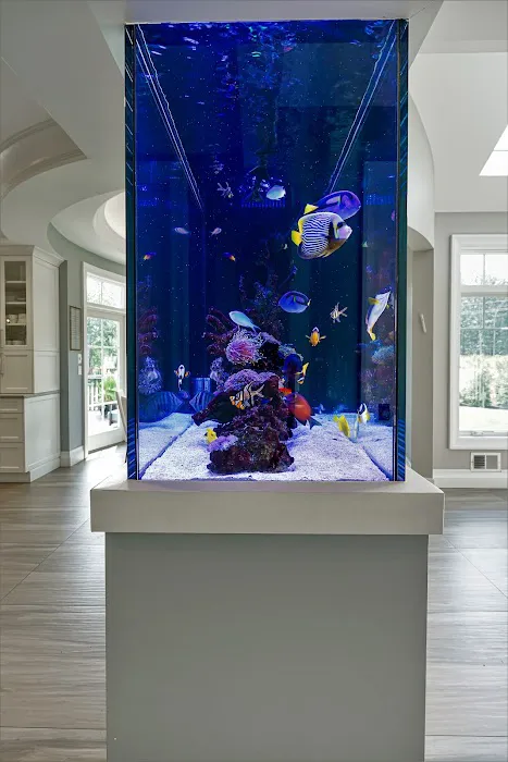 Aqua Creations I Custom Aquariums and Maintenance Picture 4