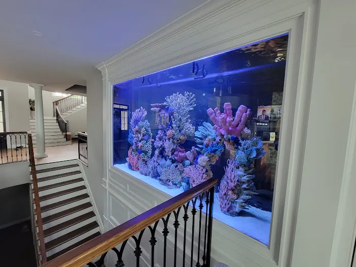Aqua Creations I Custom Aquariums and Maintenance Picture 10