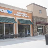 VCA Northside Animal Hospital ico