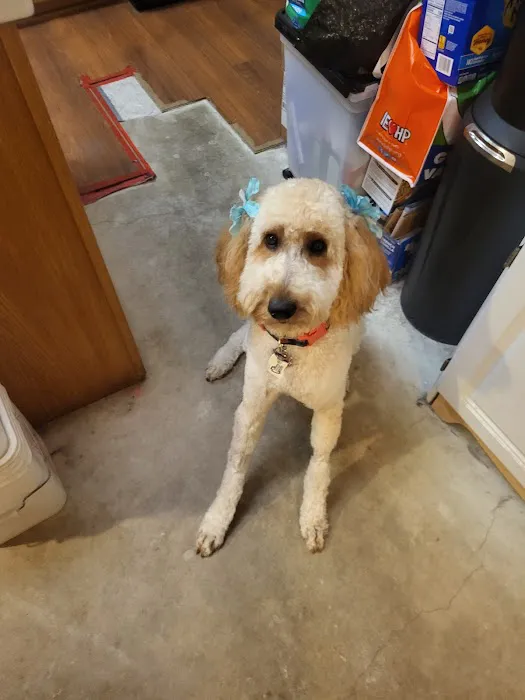 Northside Veterinary Clinic: De Wett Patty DVM Picture 6