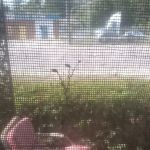 Colton Animal Hospital