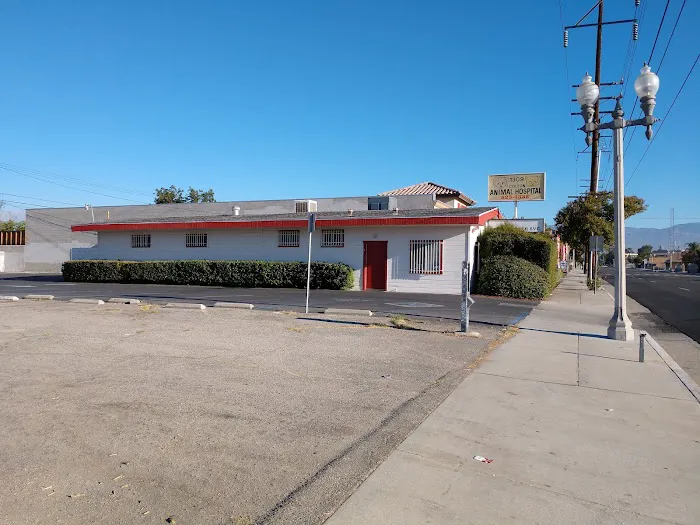 Colton Animal Hospital Picture 5