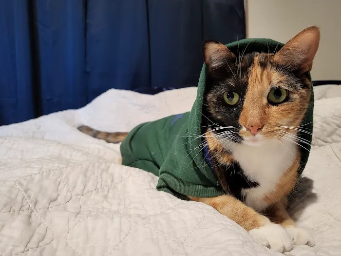 Advanced Pet Care Picture 2