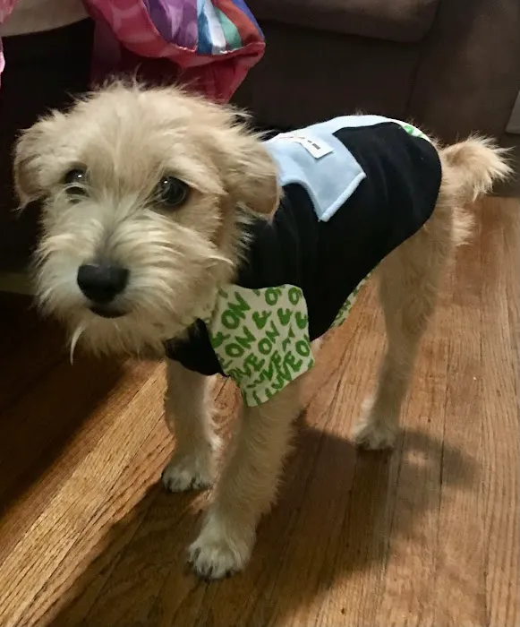 Advanced Pet Care Picture 8