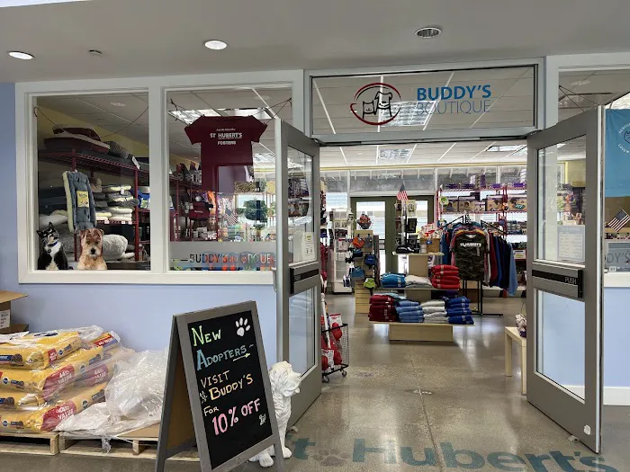 Buddy's Boutique Picture 5