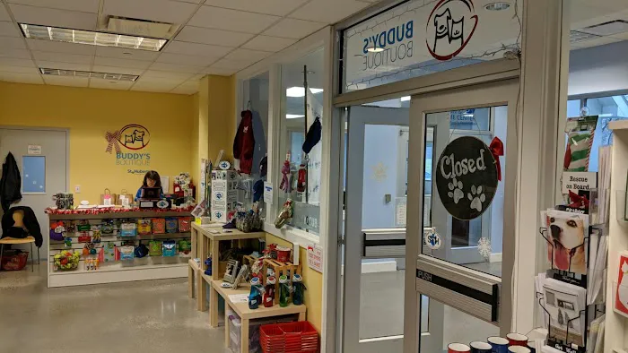 Buddy's Boutique Picture 3