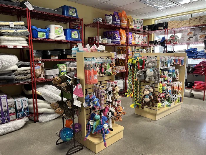 Buddy's Boutique Picture 7