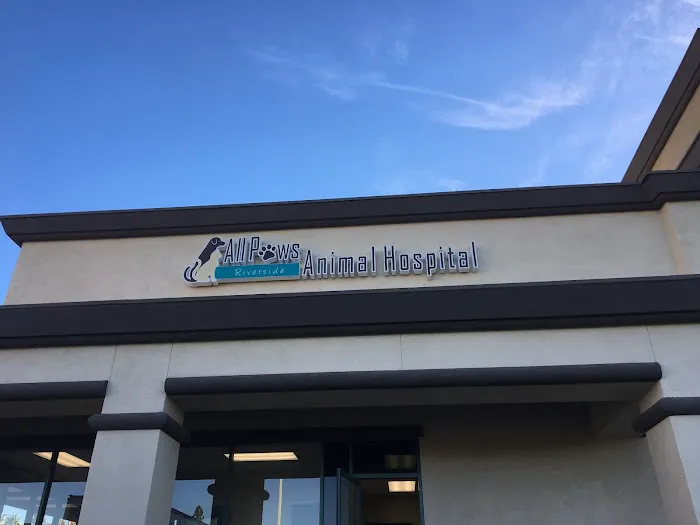 All Paws Riverside Animal Hospital Picture 3