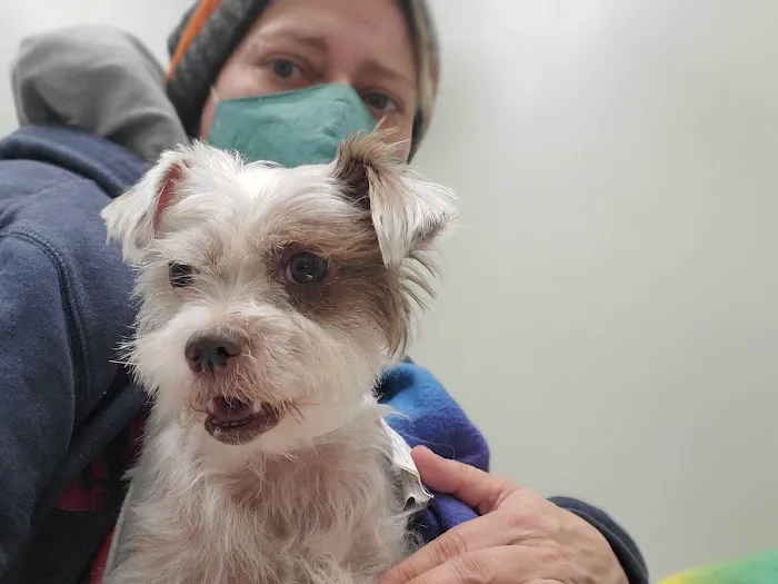 Animal Emergency Clinic Picture 10