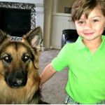 Moreno Valley Animal Hospital