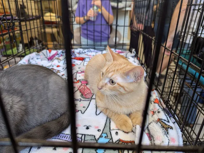 Madison Pet Shop Picture 5
