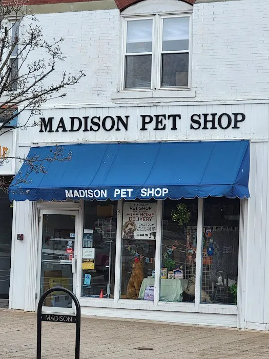 Madison Pet Shop Picture 2