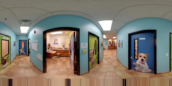 Banfield Pet Hospital Picture 2