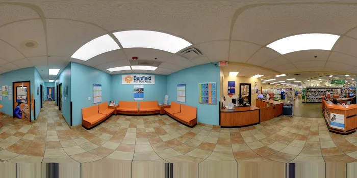 Banfield Pet Hospital Picture 1