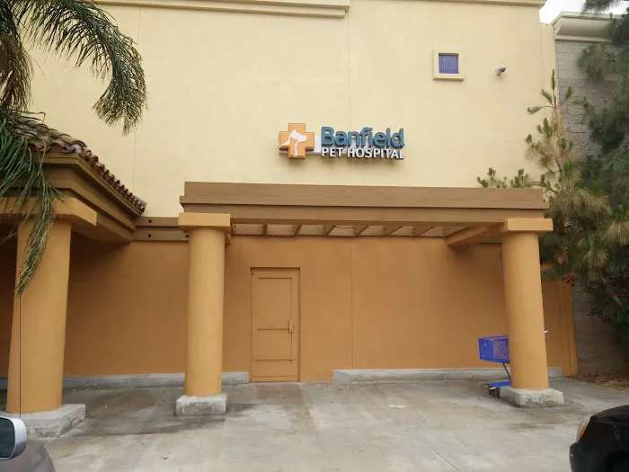 Banfield Pet Hospital Picture 6