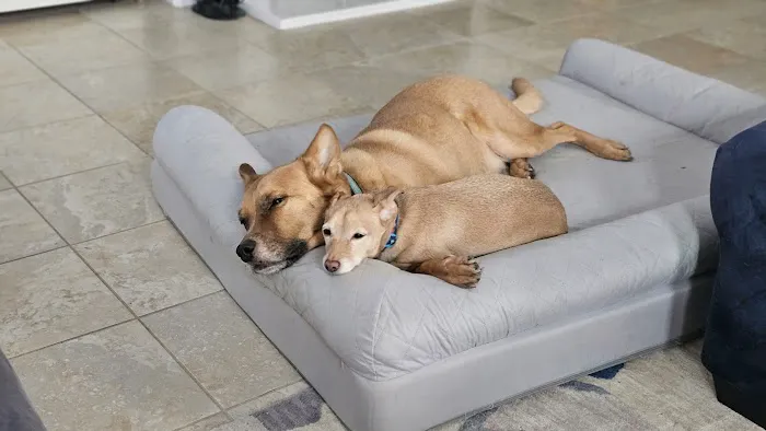 Banfield Pet Hospital Picture 5