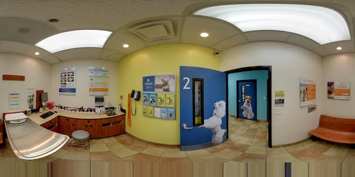 Banfield Pet Hospital Picture 3