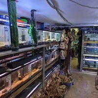 Ely's Tropical Fish ico