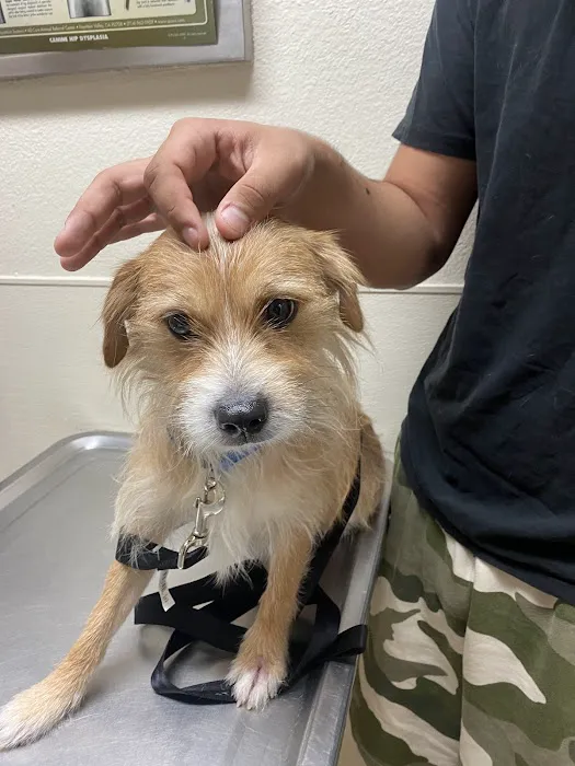 Loma Linda Animal Hospital Picture 9