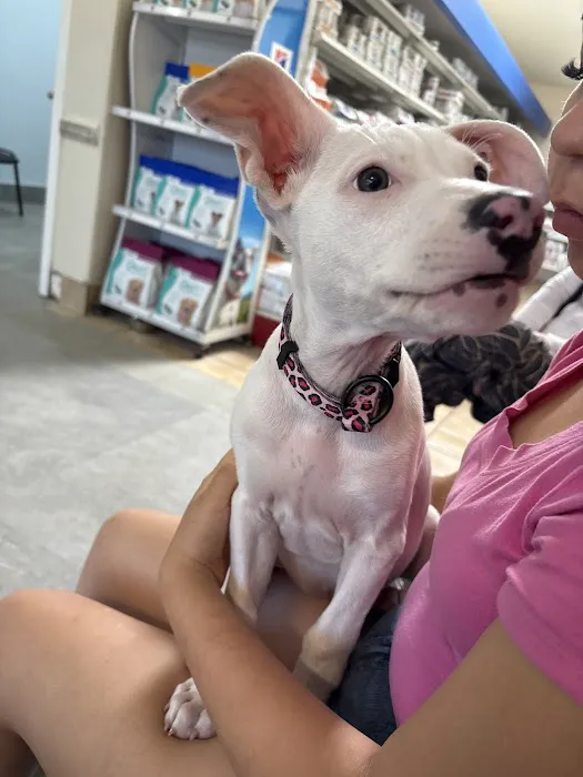 Loma Linda Animal Hospital Picture 1