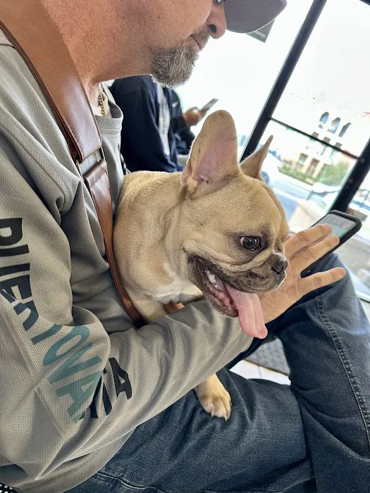 Loma Linda Animal Hospital Picture 4
