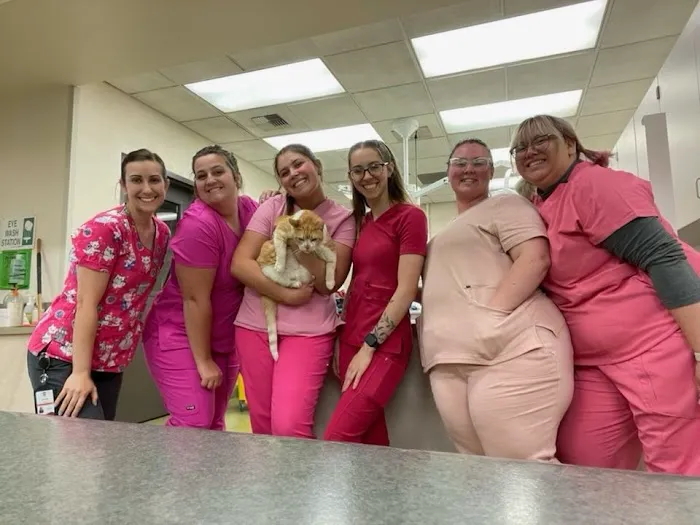 Moreno Valley Community Vet Care Picture 8