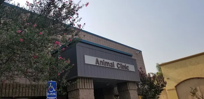 Moreno Valley Animal Clinic Picture 4