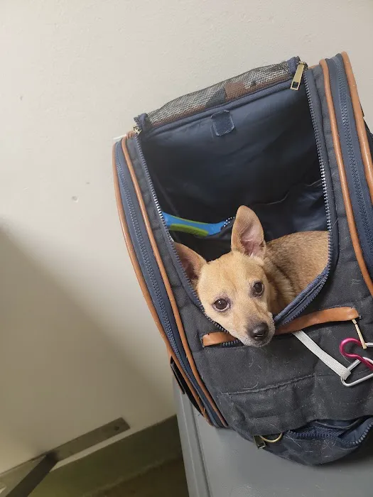 Moreno Valley Animal Clinic Picture 7