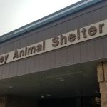 Moreno Valley Animal Clinic