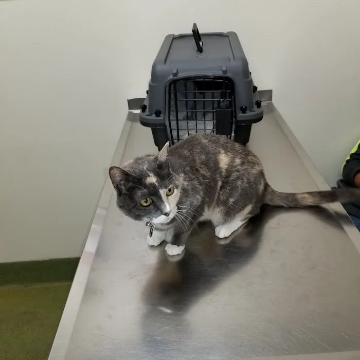 Moreno Valley Animal Clinic Picture 10
