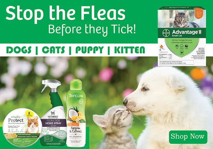 Pet Life Picture 1