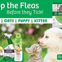 Pet Life ico