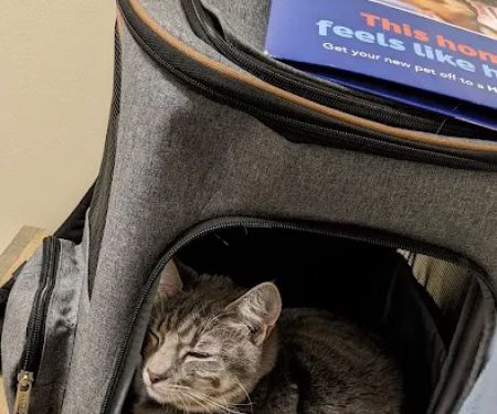 Vetco Total Care Animal Hospital