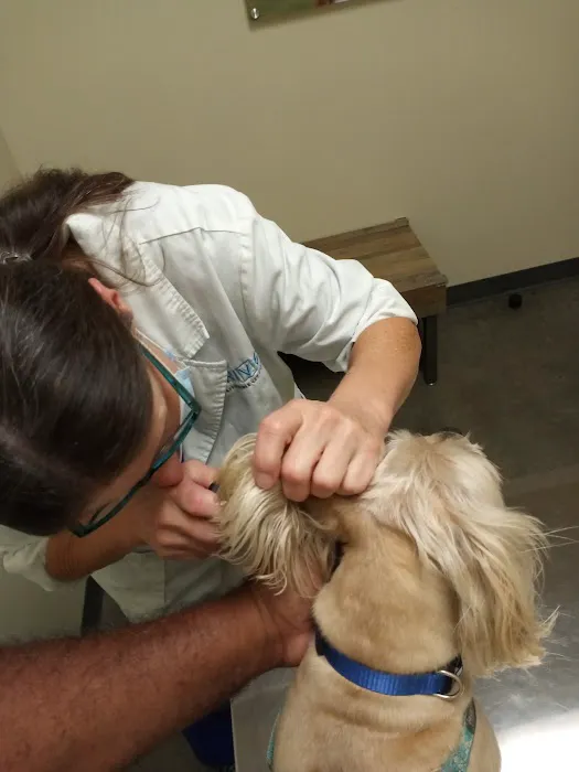Vetco Total Care Animal Hospital Picture 6