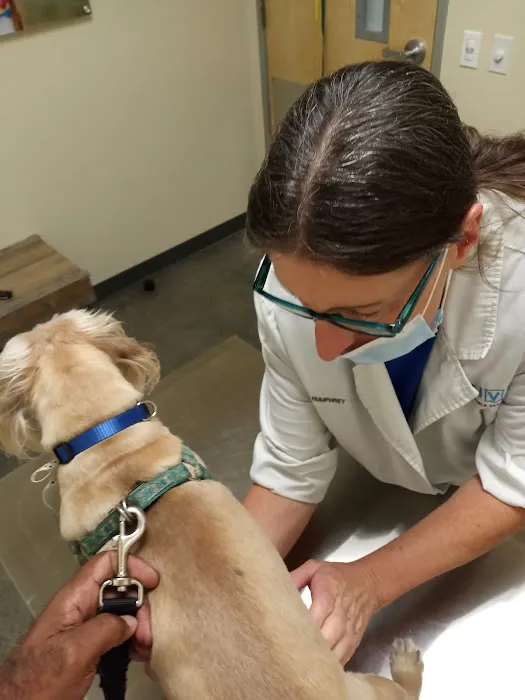 Vetco Total Care Animal Hospital Picture 4