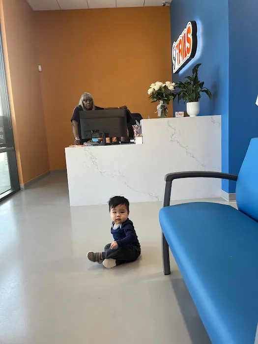 9Tails Veterinary Clinic Picture 3