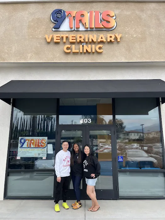 9Tails Veterinary Clinic Picture 5