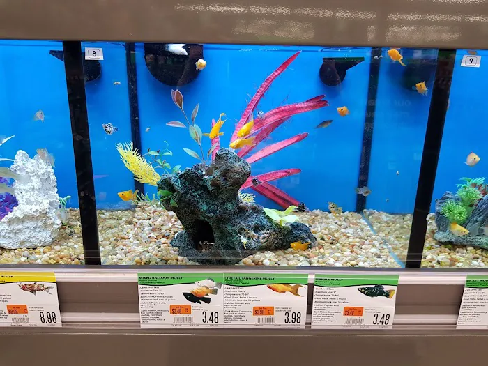 Pet Supplies Plus Garwood Picture 3