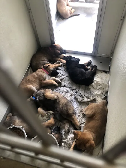 Animal Hospital of Eagle Glen Picture 5