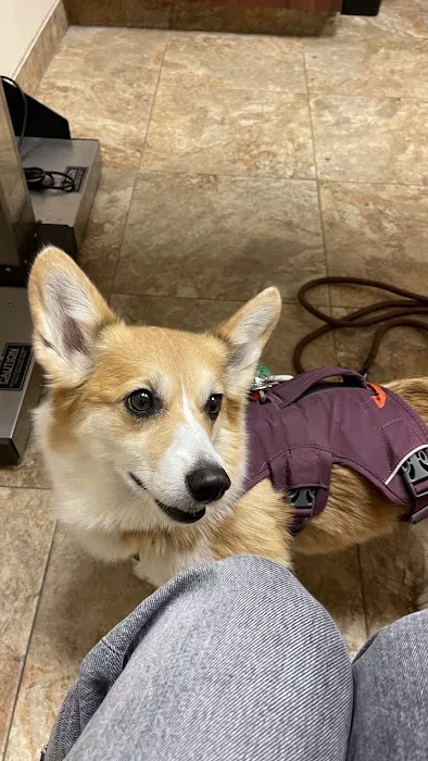 Animal Hospital of Eagle Glen Picture 10