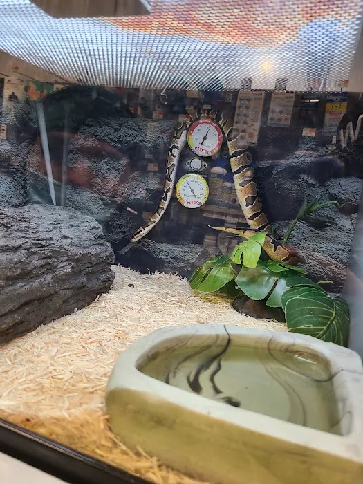 Petco Picture 9