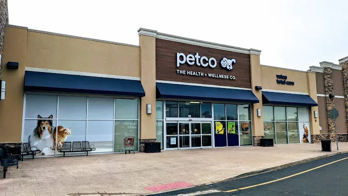 Petco Picture 3