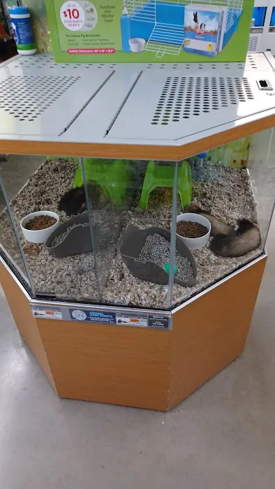 Petco Picture 7