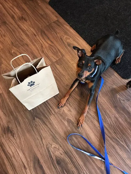 WaggMore Pet Boutique & Bakery Picture 2