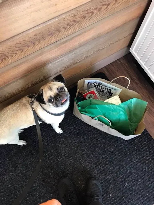 WaggMore Pet Boutique & Bakery Picture 5