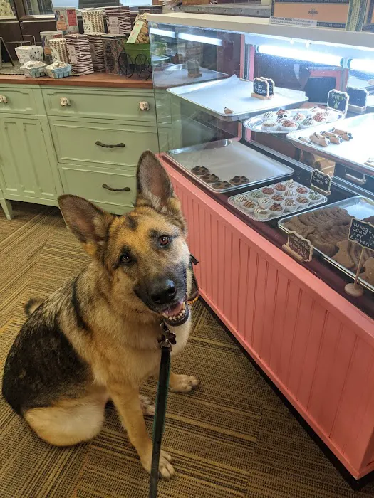 WaggMore Pet Boutique & Bakery Picture 8