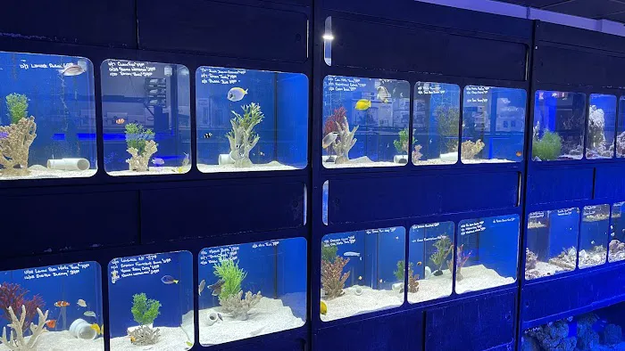 Aquatic Obsessions Picture 1