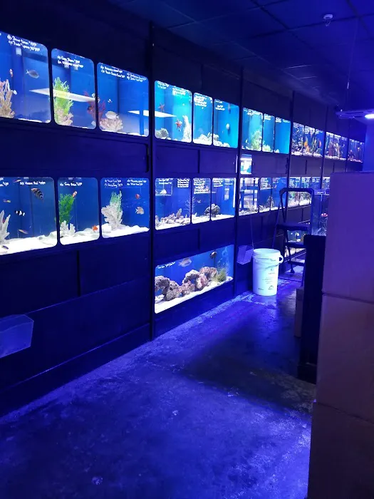 Aquatic Obsessions Picture 5
